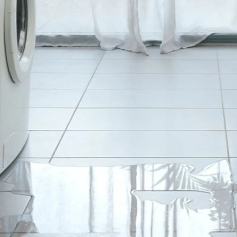 Appliance Leak Cleanup in Concord, VA