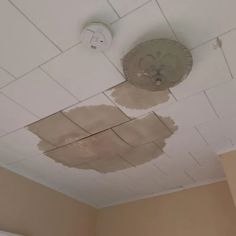 Ceiling Water Damage Repair in Concord, VA