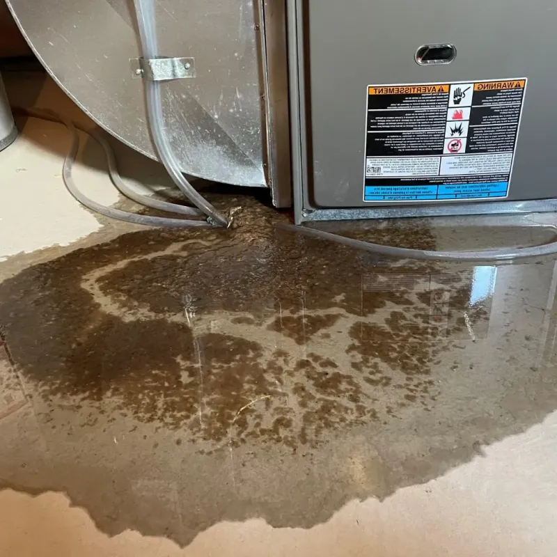 Pipe Burst and Leak Restoration in Concord, VA