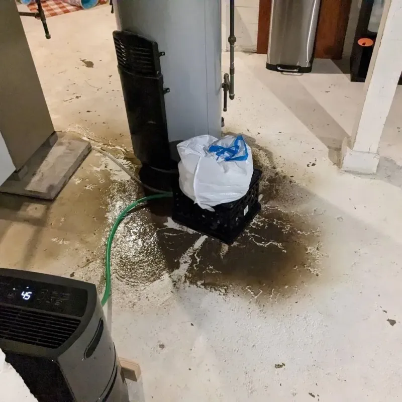 Sewage Backup Cleanup Service in Concord, VA